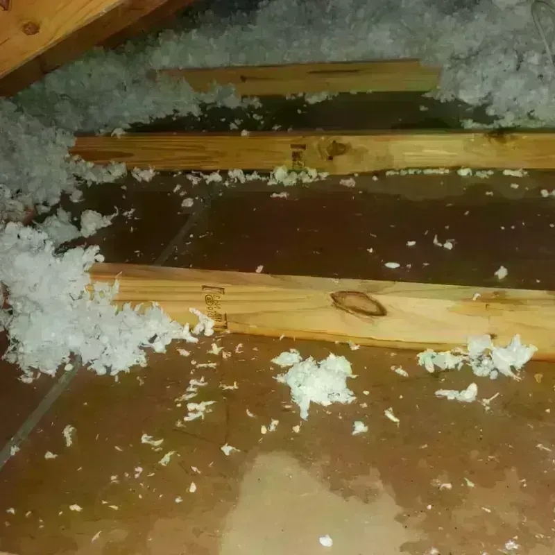 Attic Water Damage in Alexander, AR